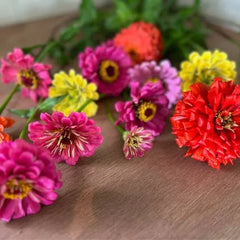 Thanks a Bunch Gift of Seeds