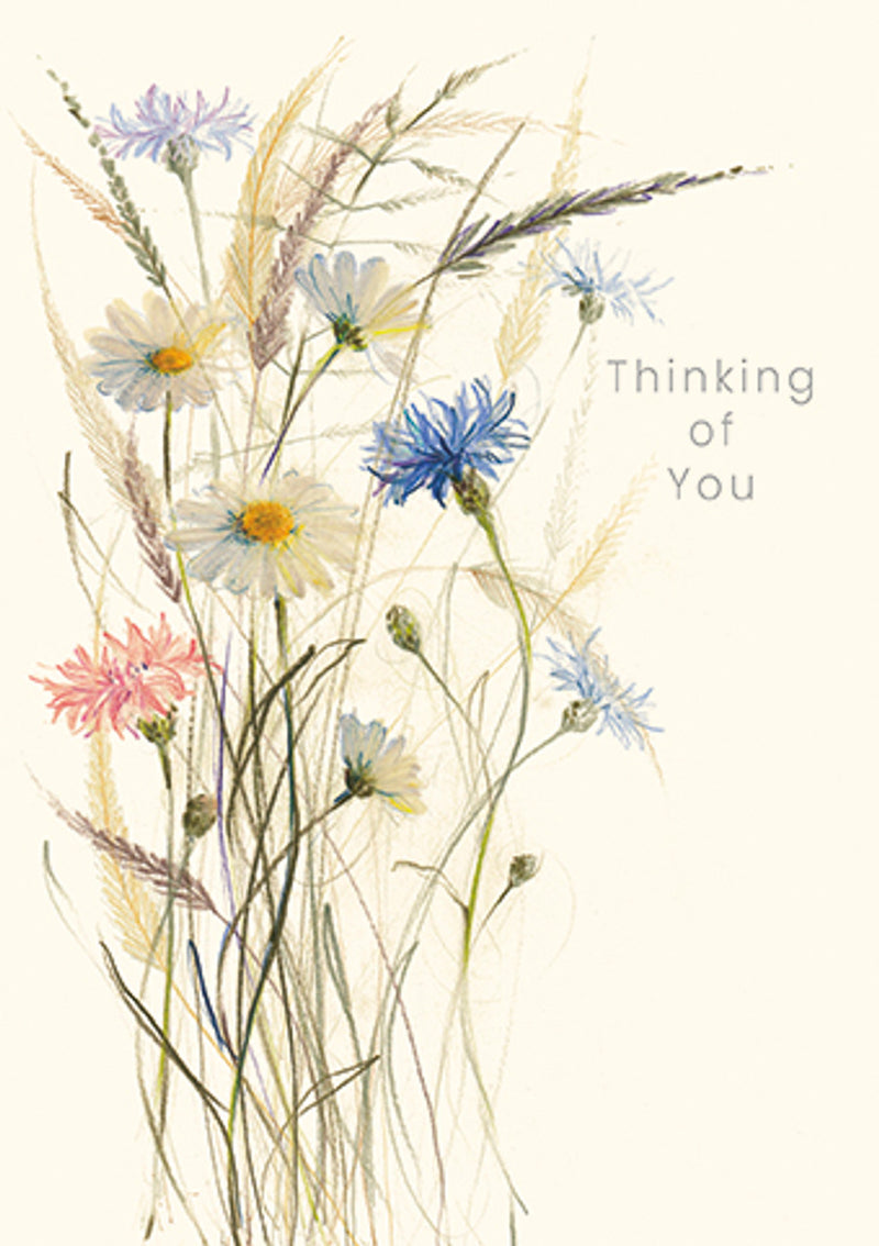 Thinking of you - Oxeye Daisies