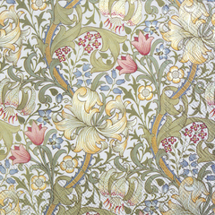 Golden Lily White