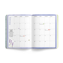2026 Bee Diary