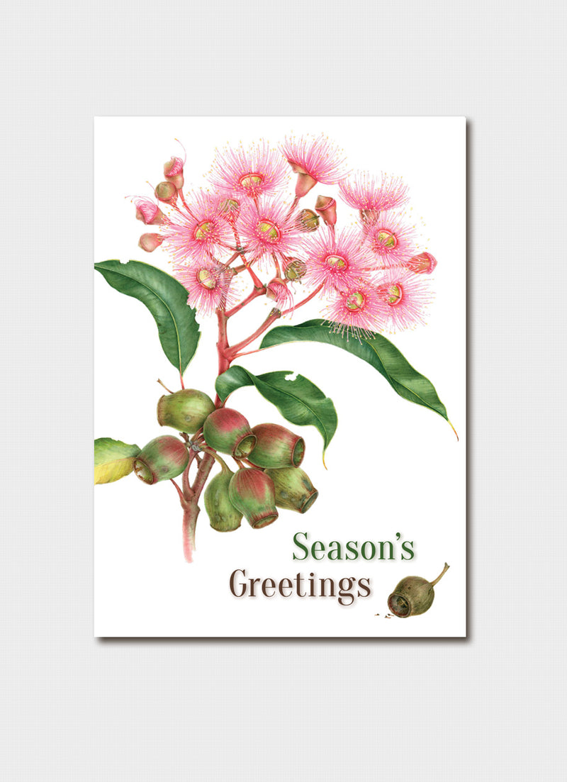 Elaine Musgrave Christmas Card