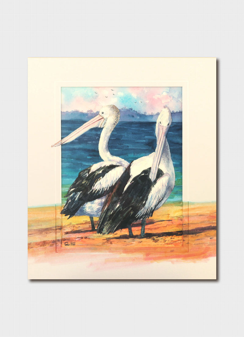 Glo Hill - Pelicans