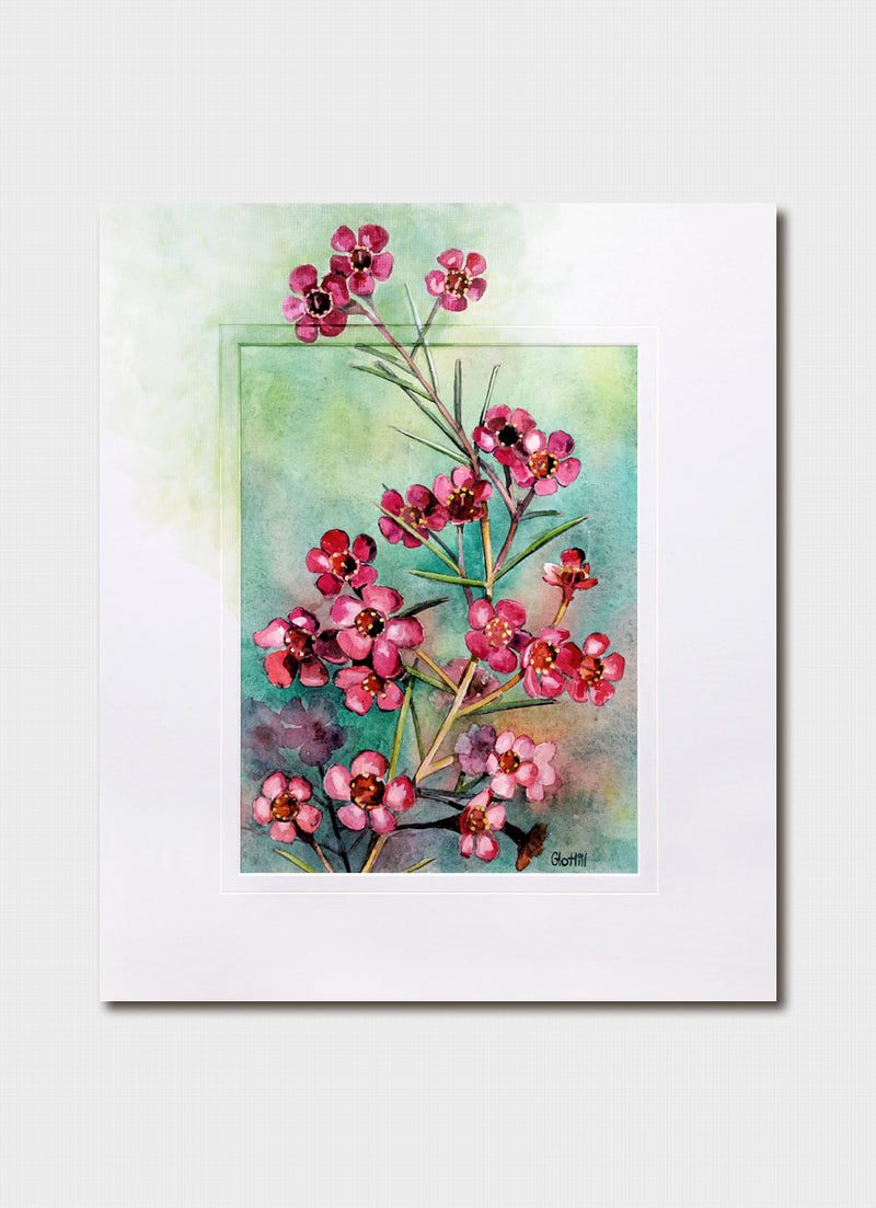 Glo Hill - Geraldtown Wax