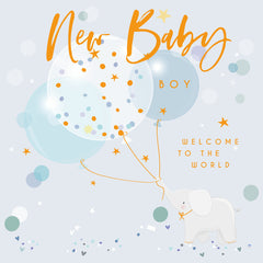 New Baby Boy