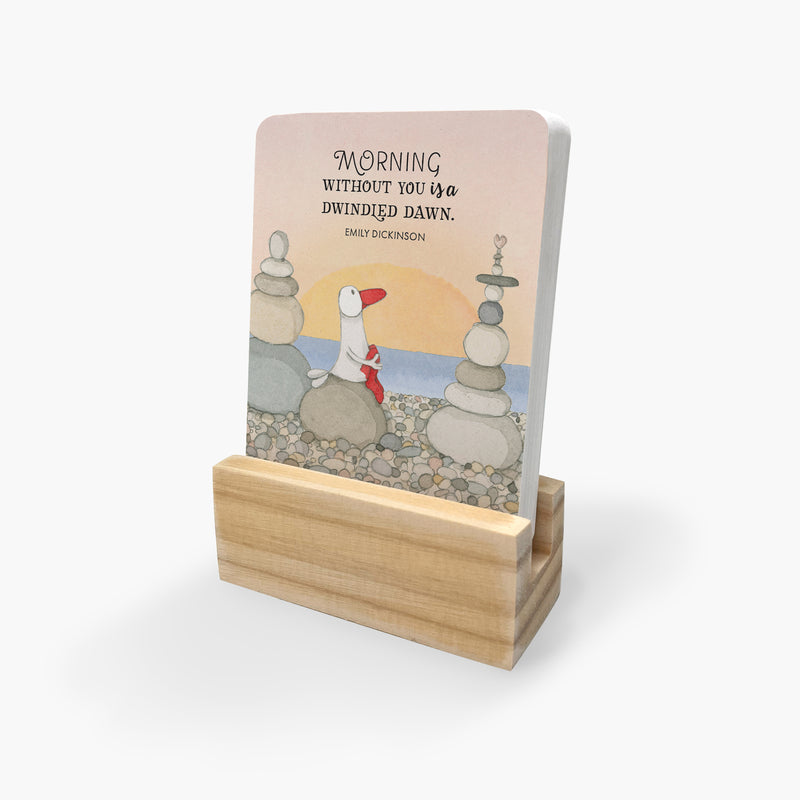 A Little Box of Love - 24 Twigseeds Affirmation Cards + Stand