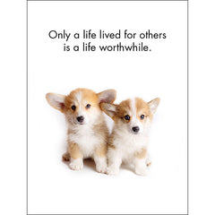 Little Treasures - 24 Animal Affirmation Cards + Stand