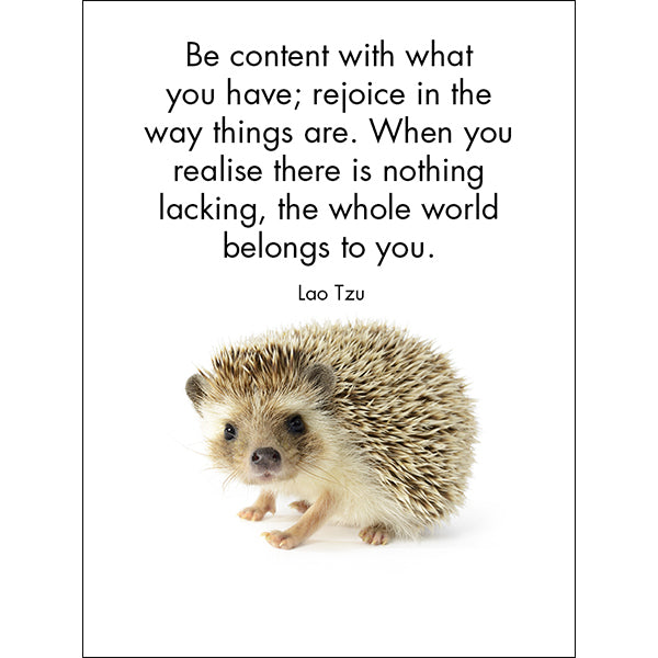Little Treasures - 24 Animal Affirmation Cards + Stand