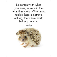 Little Treasures - 24 Animal Affirmation Cards + Stand