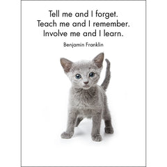 Little Treasures - 24 Animal Affirmation Cards + Stand
