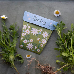 Daisy Gift of Seeds