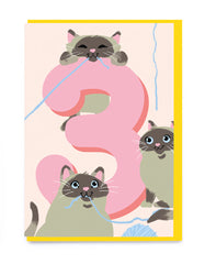Age 3 Cats