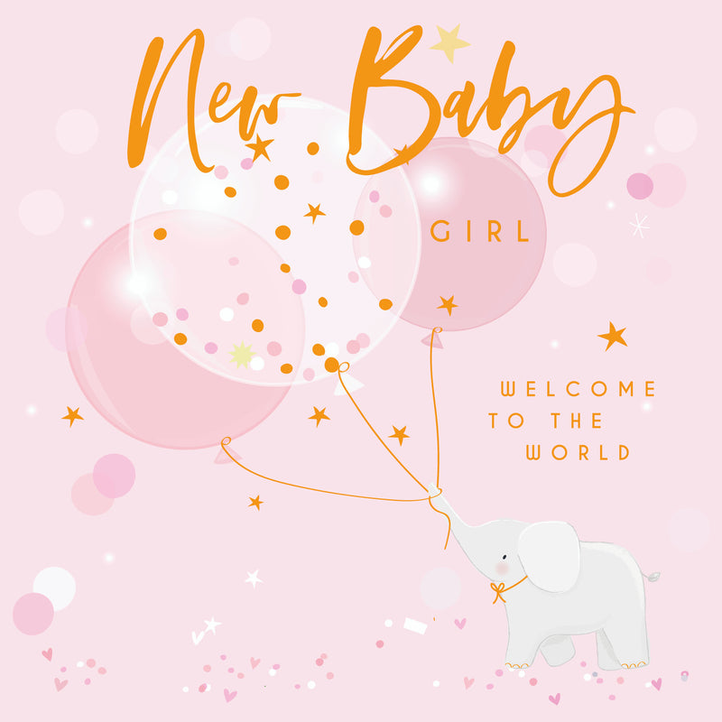 New Baby Girl