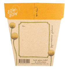 Billy Buttons Gift of Seeds