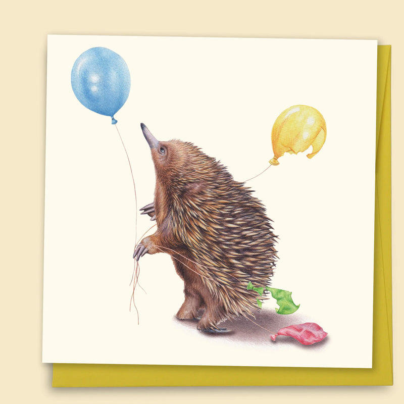 Echidna With Balloons