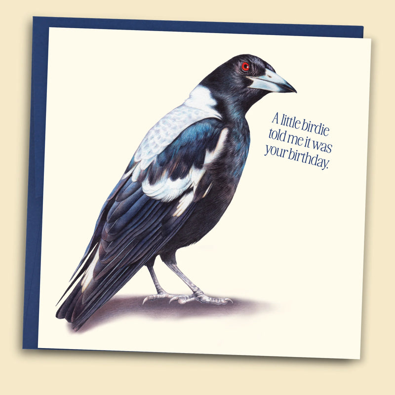 A Little Birdie Told Me Magpie