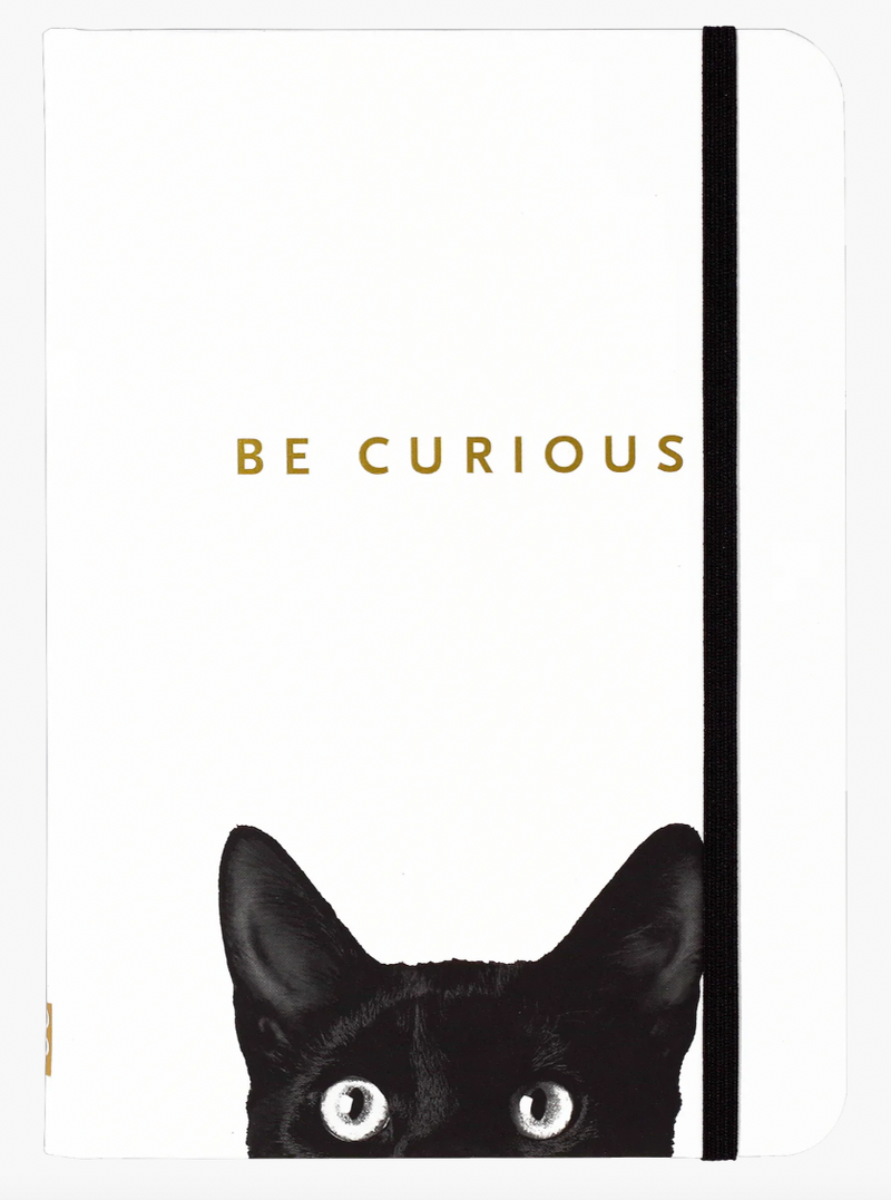 Small Curious Cat Journal