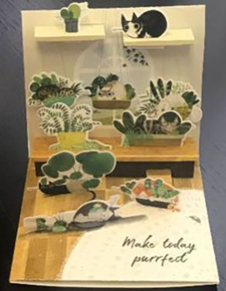 Cats In Plants Pop-Up Card