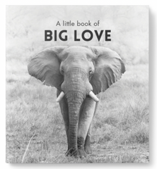 A Little Book of Big Love - Inspirational Quote Book