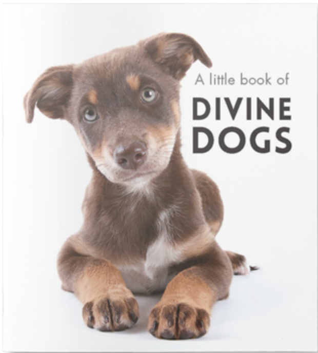 A Little Book of Divine Dogs - Inspirational Quote Book