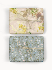 Peony Studies/Primrose Double Sided Gift Wrap