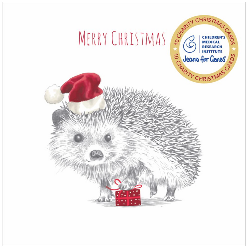 CMRI Christmas Card Pack - Hedgehog Present