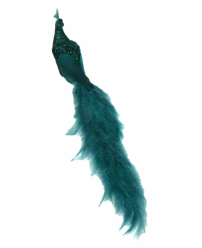 Elegant Emerald Feathered Peacock