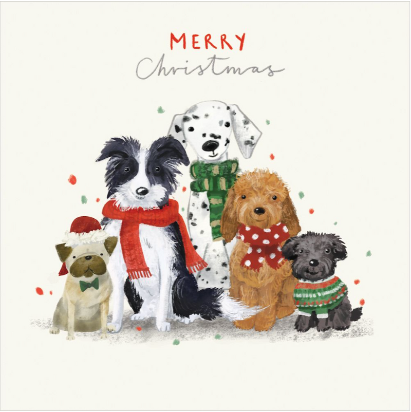 CMRI Christmas Card Pack - Furry Friends