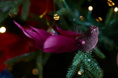 Magenta Feather Clip Bird