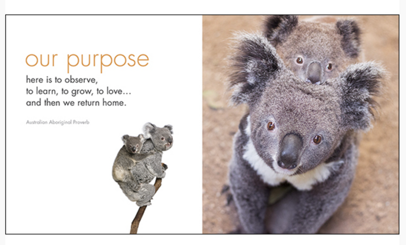 A Little Book of Koala Karma - Inspirational Quote Book