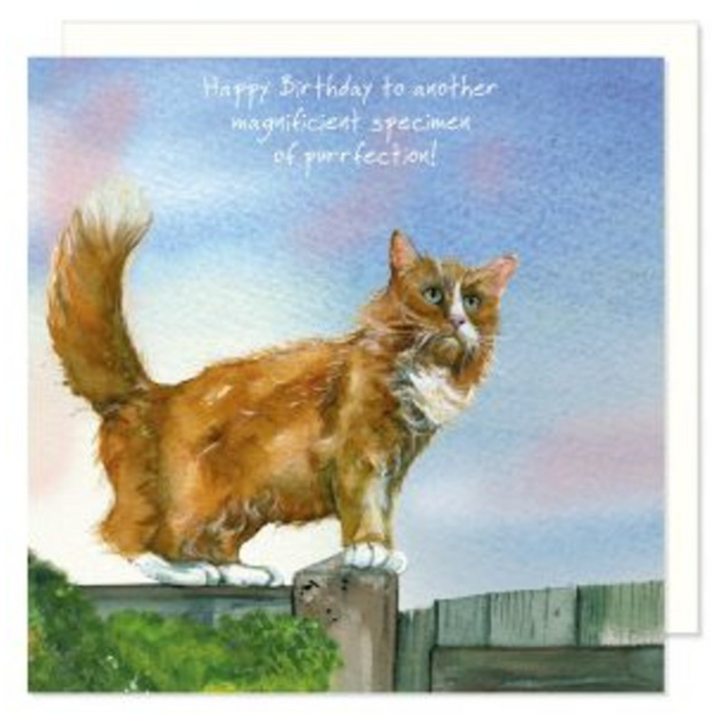 Happy Birthday - Ginger Fence