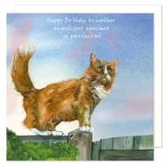 Happy Birthday - Ginger Fence