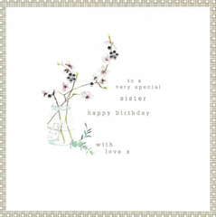 To a Special Sister