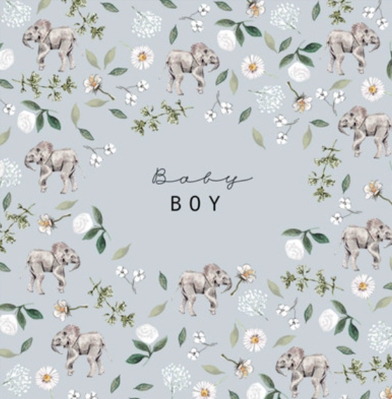 Baby Boy Elephant