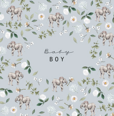 Baby Boy Elephant