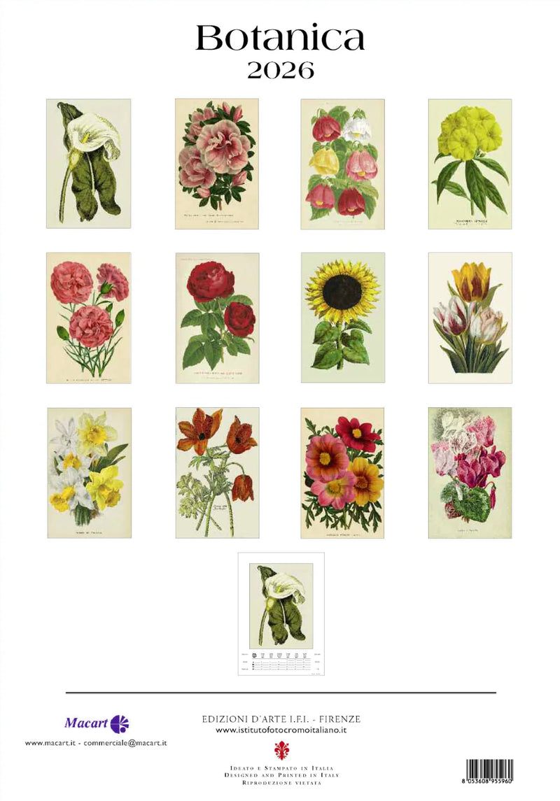 2026 Large Calendar - Botanica