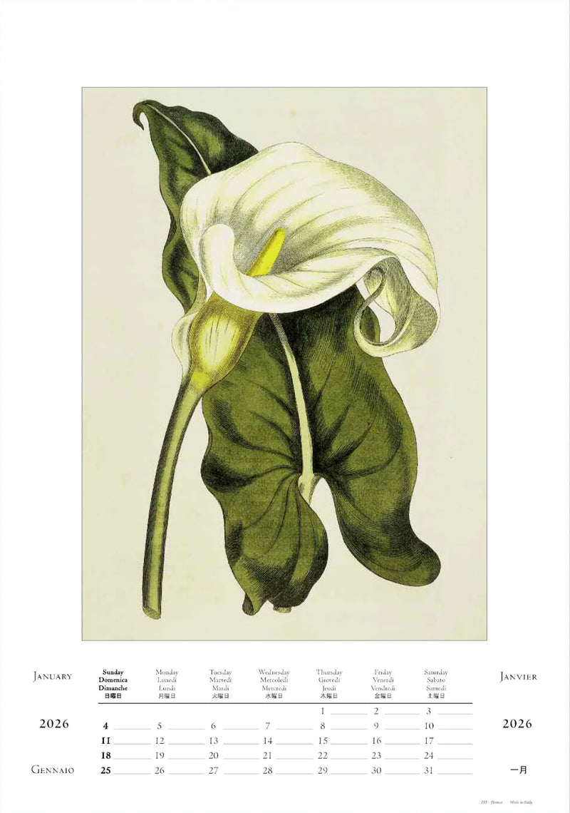 2026 Large Calendar - Botanica