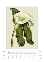 2026 Large Calendar - Botanica