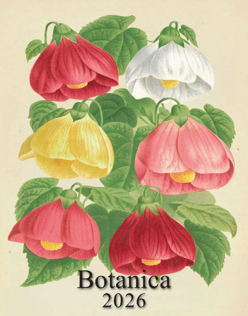 2026 Desk Calendar - Botanica