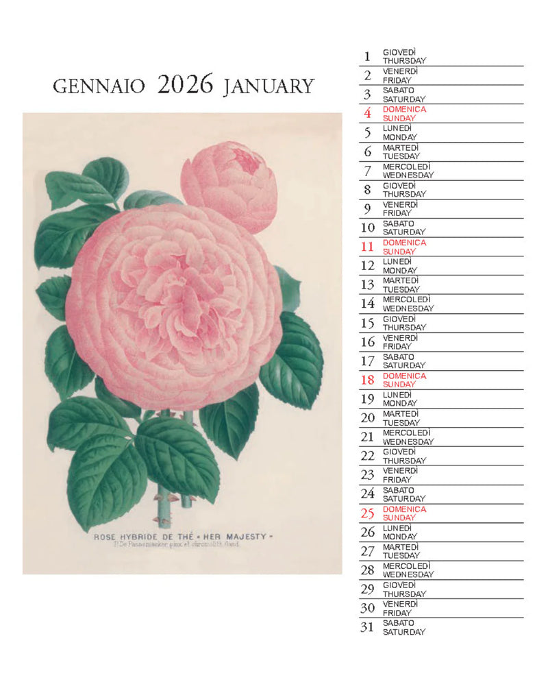 2026 Desk Calendar - Botanica
