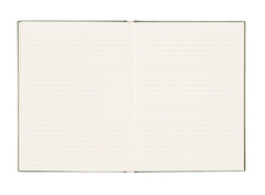A Dopo Eye Journal