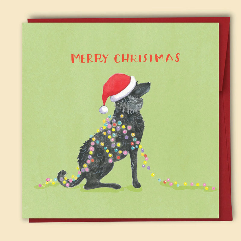 Merry Christmas Pepper