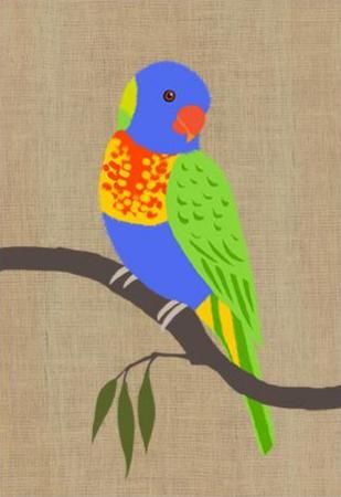 Mini Card - Rainbow Lorikeet