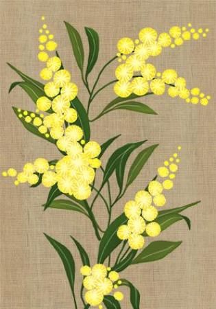 Mini Card - Wattle