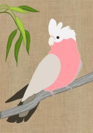 Mini Card - Galah