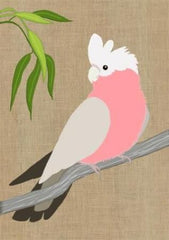 Mini Card - Galah