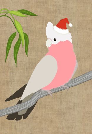 Galah Christmas Card