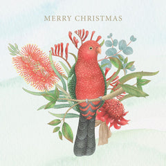 CMRI Christmas Card Pack - Floral King Parrot