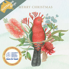 CMRI Christmas Card Pack - Floral King Parrot