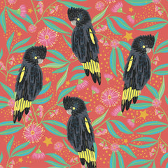 BCNA Christmas Card Pack - Black Cockatoos