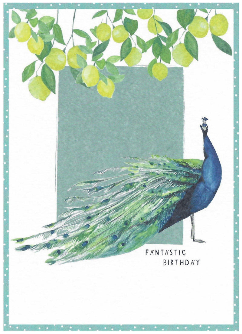 HB - Peacock